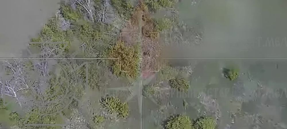 ����������� ��������������� ��� ���������� �������� �� ����������� �����������