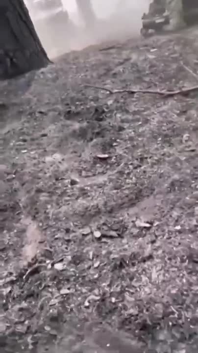 170 ���������� ������� ���������� � ���� ���� �� �������� � ����������� ������� � 10 ���, ��� 100 � ����� � ����, ����� Shot �� ������� �� ��������