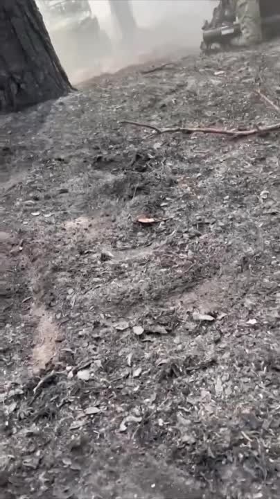 ������� ������: �������, �������������� ��������� ������, ������� �� ��� ���������