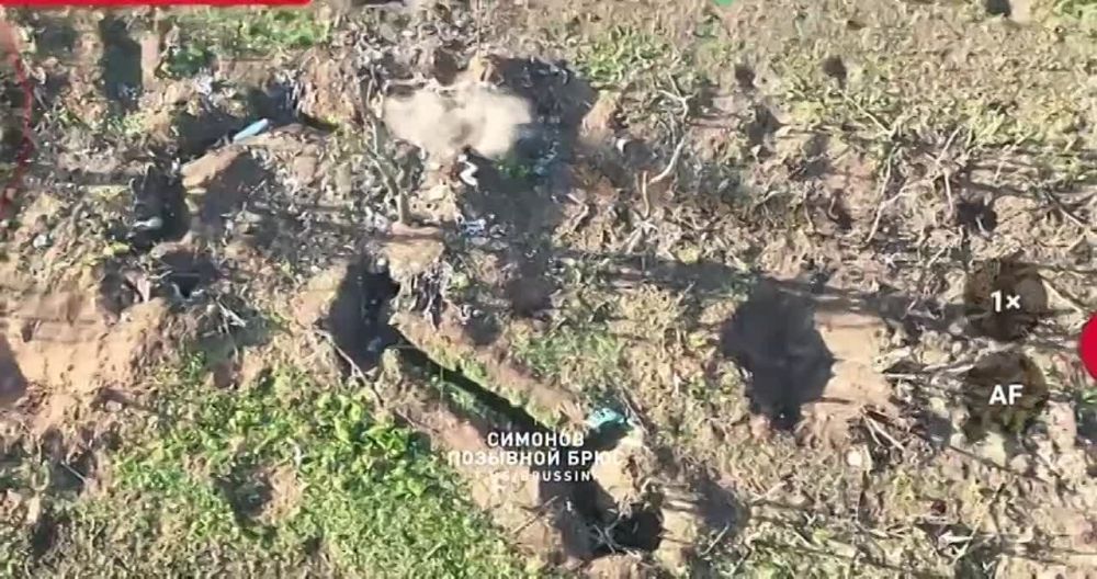 ����� �� �������? ��� ������ ������? �� ����, ����. ��� � �����