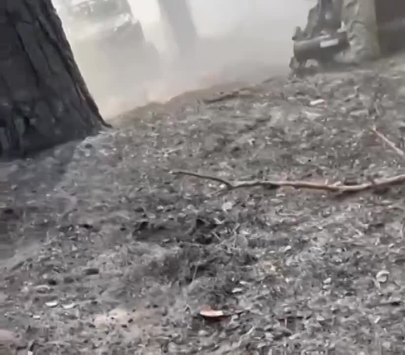 ���������� ����, ����. ���������� � ���� � ��� ��������� ������ �������� ����� � ����� ��� ����������