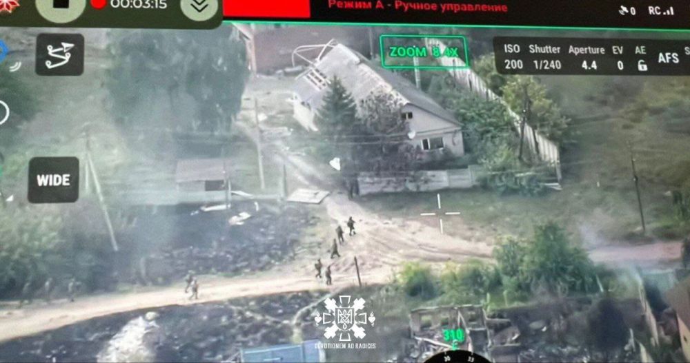 ��� ������: ����������� �����������, ����� ����������, ��������