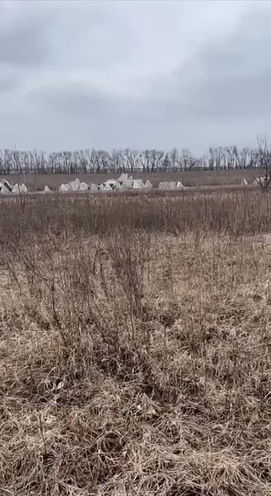 ��� ������� ����������� ������� ������� ��������� ��� ����� �������