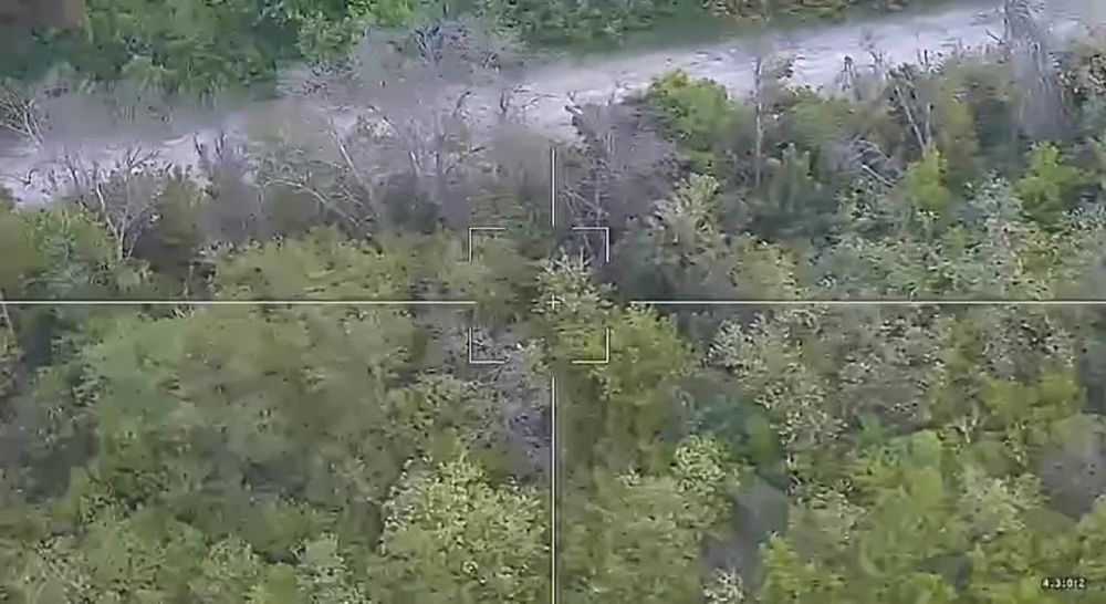 ��������� | �����ܨ�LIVE