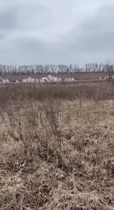 "����������� ����� �������" � ������ ���� �����