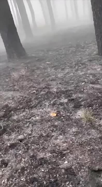 �������� � ����� ����������� ��� ����������� ����� �� ����� ���������� � ����������� ������� � ��������� ����������� ������ ������� � ���������