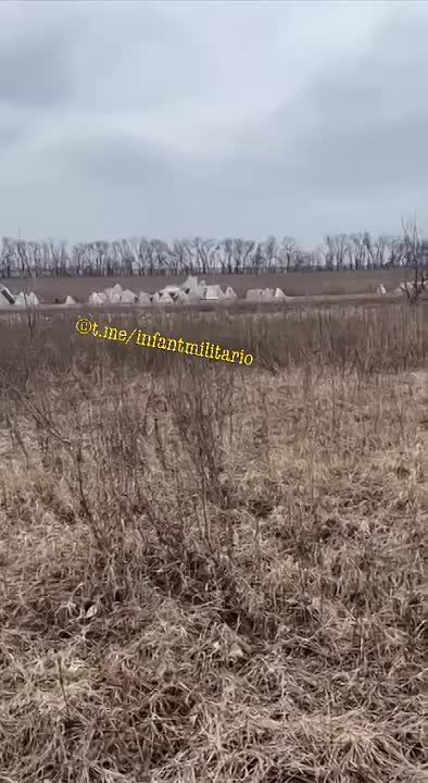 ��������� ����� ��������� �������� �������� ������ ��������� � ����������� ������� ��� �������, ���� ���������� ���������� � ������������� ���������� ����������