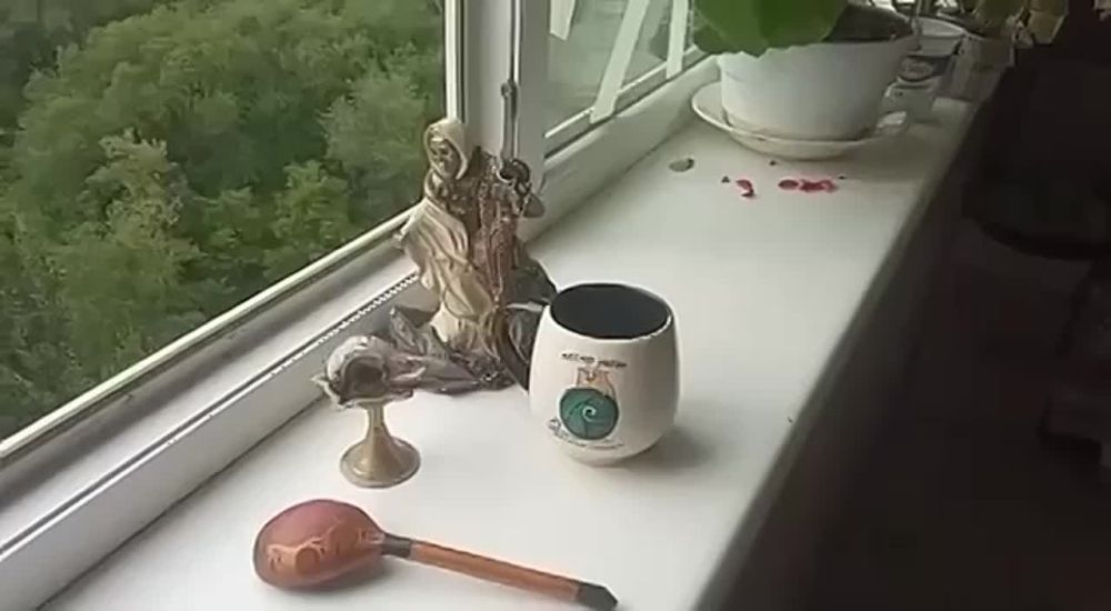 ��� ��� � ������������ ���������� ���������