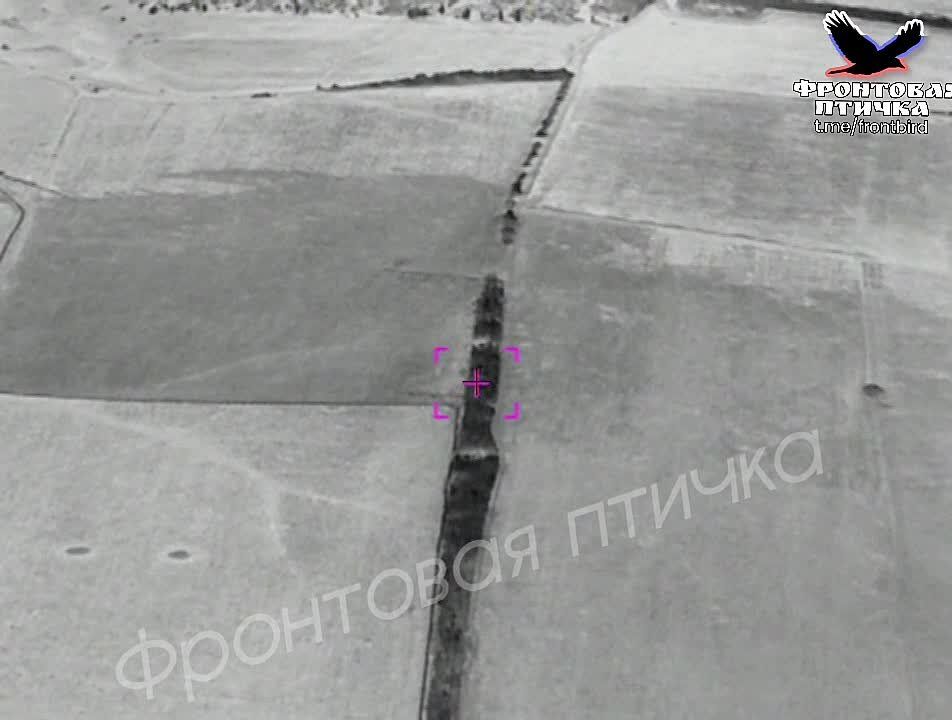 3 ���-250 �� �������� ���. ����������� �������