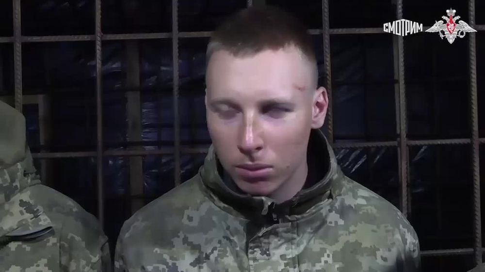 ���������� �� ������������ ����� � ��������� ������������� ������������ "������" � "��������" (�������������� �����������, ������������ ������� ��������� � ��) , ������� ��������� � ���� ������� ����������� "�����" � ���� ���� � ����������� �������