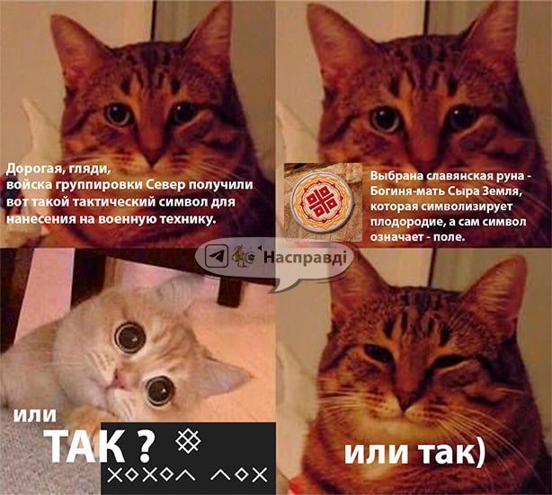 ��� �������� �������� ������ ��� ���������������� ����� ����������� ���� �� "�����"