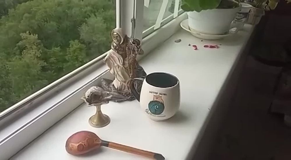 � �������� ��� ��������. ������ ������ - �������� ���� ��, �� �����