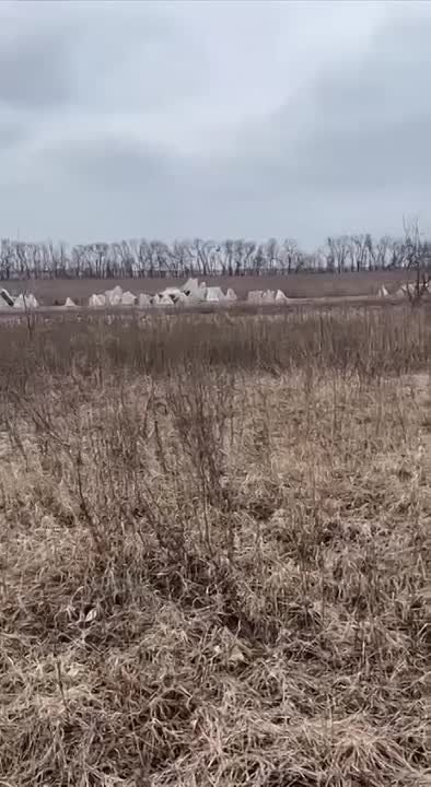 � ��� "���� �������" ������: �������� ������� ������������ ����� ����������