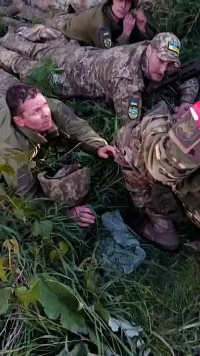 � �.�. ��������� ����������� ������� ������ ������� ����������� "�����" ���� ����� � ���� ������ ���������� ��������������