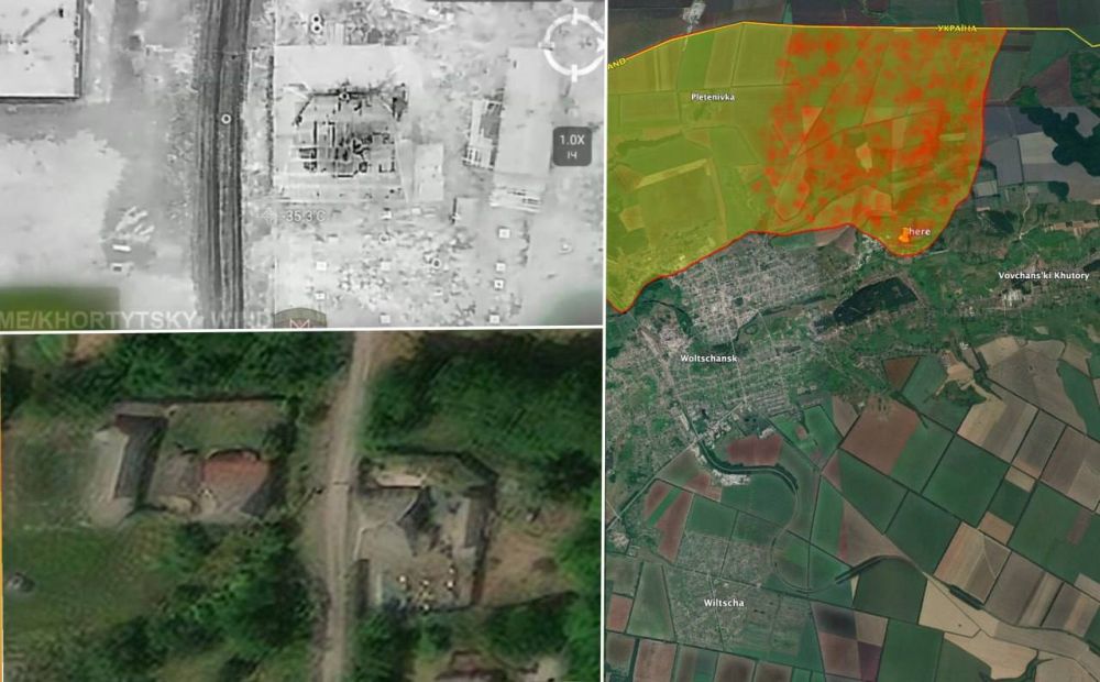 ���� ��������: ���������� ������ ������ �������� ����� ��������� � ������� ����� � ������� � ���� ����� �� BILD