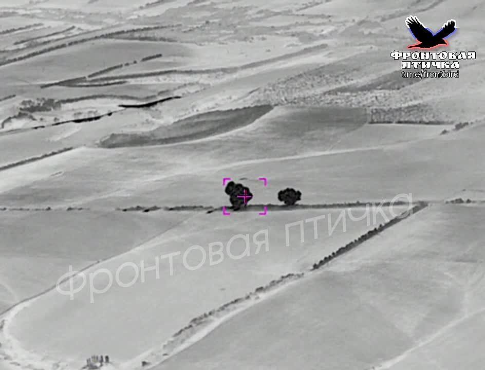 3 ���-250 �� ���������� � ��� ����������� �������