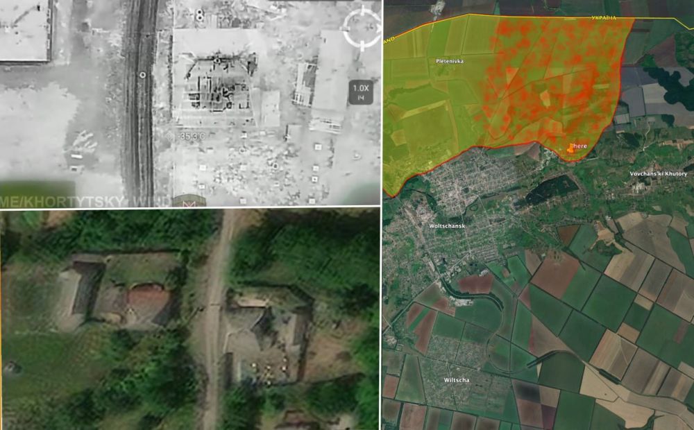 ���������� ������ ������ �������� ����� ��������� � ������� ����� � ������� � �������� BILD и���