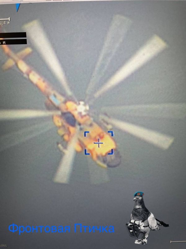 ����������� ����������� �����������