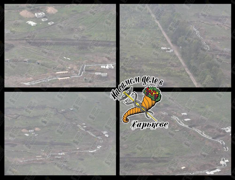 Липцы, 10 км от границы