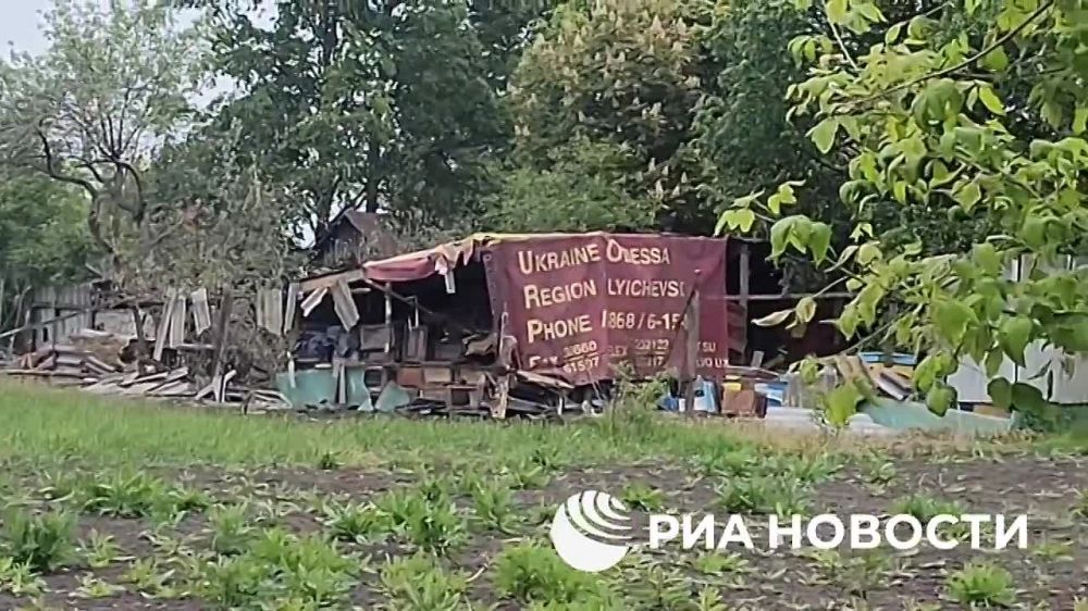 ����� �� �� ���������, �� ������ ����� ����