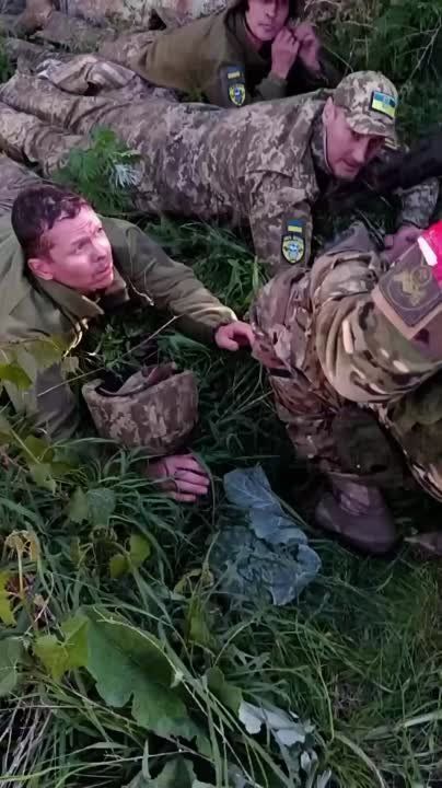 �� ����������� ����������� ����� � ���� ��������� ������ ���������� ��������