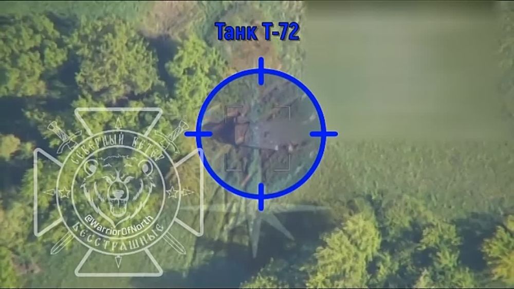 #�����_��_���������_�����