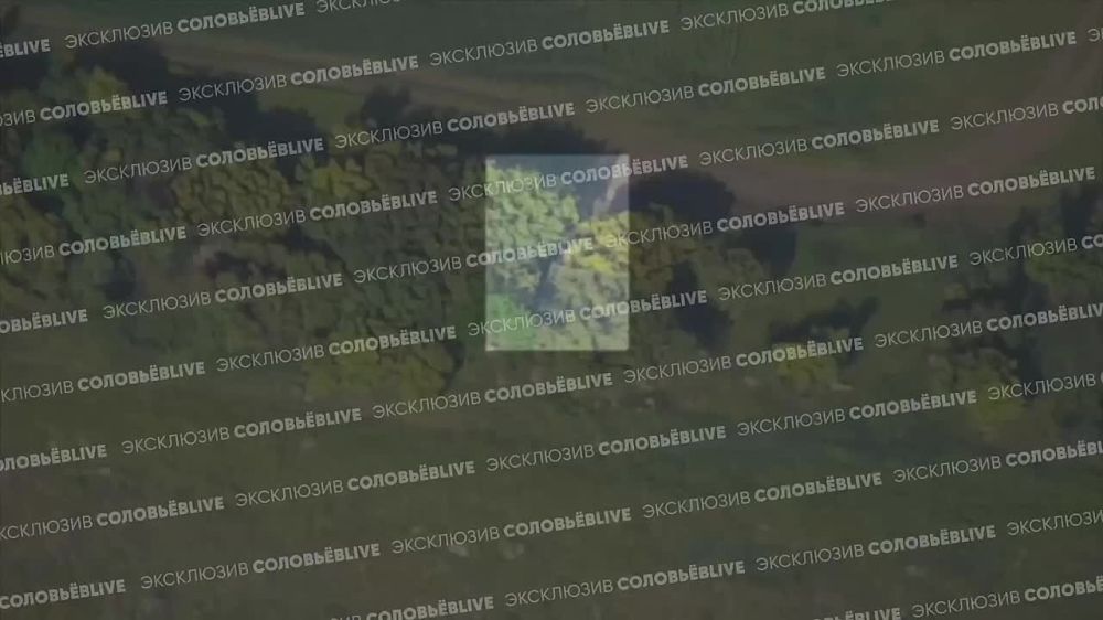 ��������� | �����ܨ�LIVE