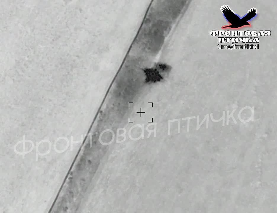 ����������� 9 ������ ���-250 �� ���� ���� �� �������� ��� � ����������� �������