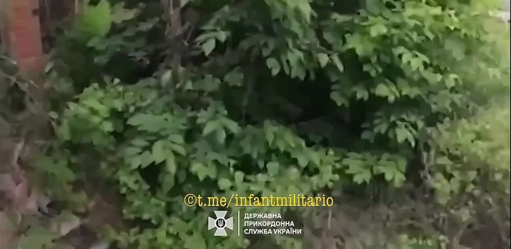 ��������� ����� ���� �� �������� � ���������� �������