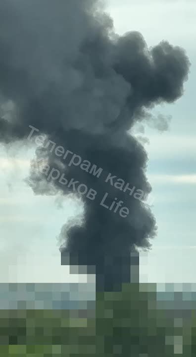 ������ ����� - �������, ������ - ������