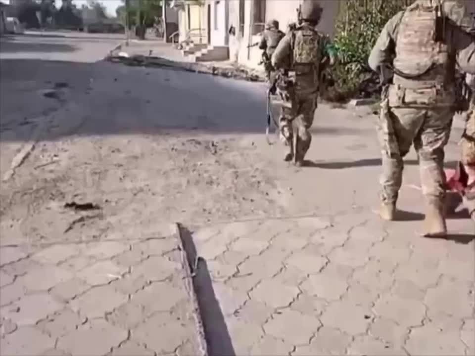 ��������. ����� �� ������� �������� ���. �� ����� ��� ��������� � �����, ������ ��������