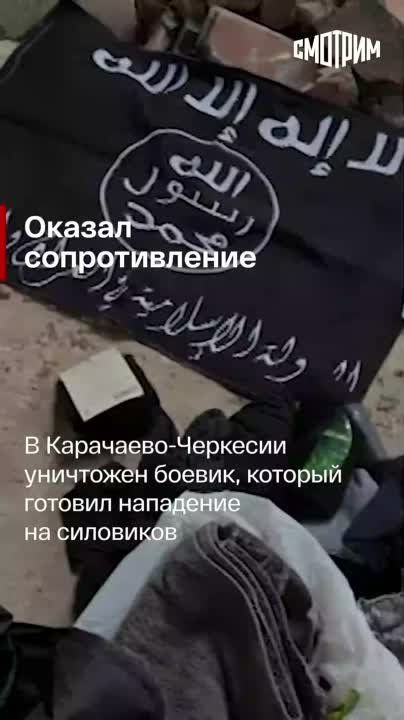 Главные новости к этому часу: