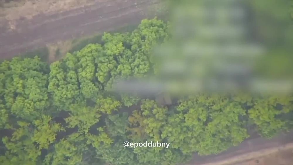 ��� ���� ���� ���������� ����������� ���� ������������� ���������� � ����������� �������