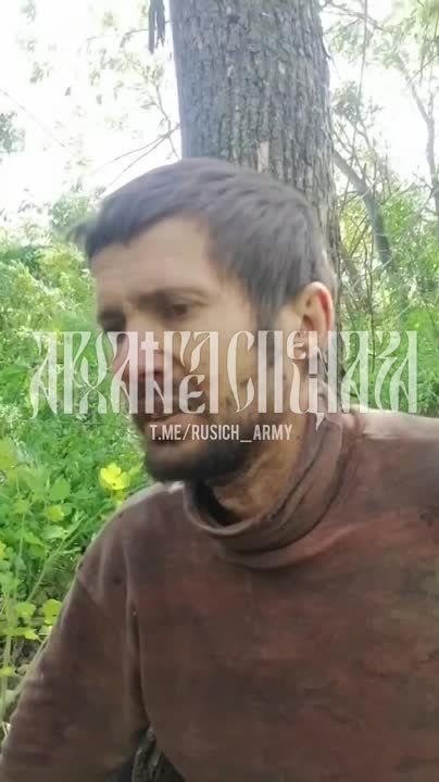 ����������� �����������