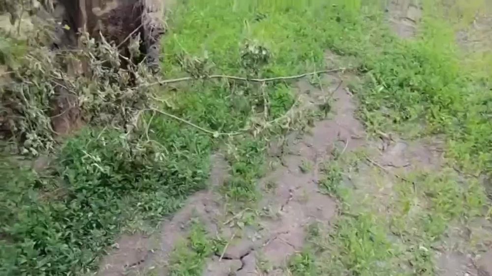 ����� ������� � ����������� ������� �� ������� ��������� �������� �������� ��������