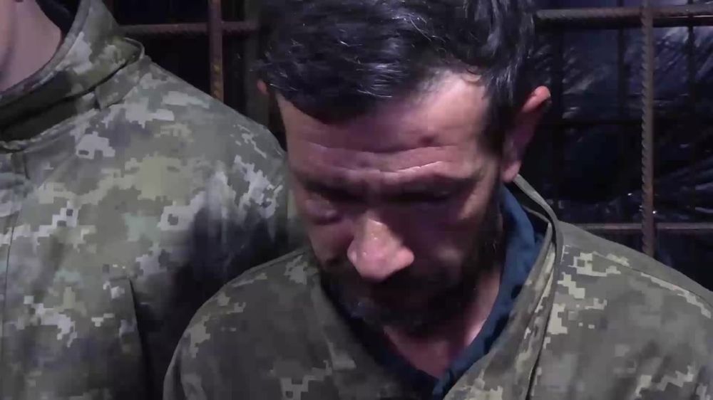 ����� ������ ������ � ���� ���������� ��������