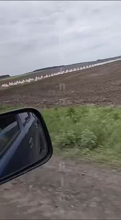 ����������� �������. ����������� �������