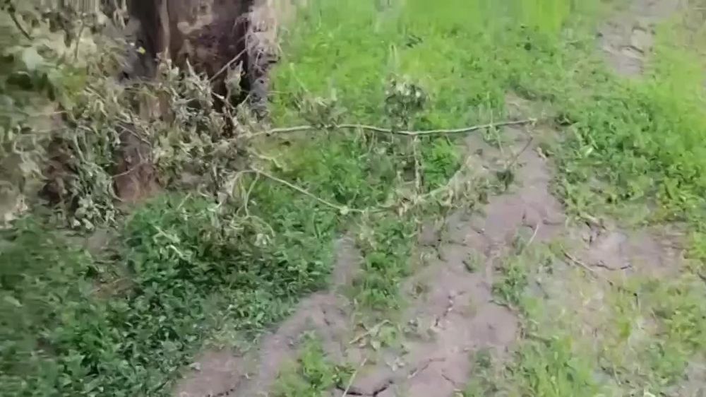 ��������� ������ ������ �� ������ ������� ������� ������� ��������