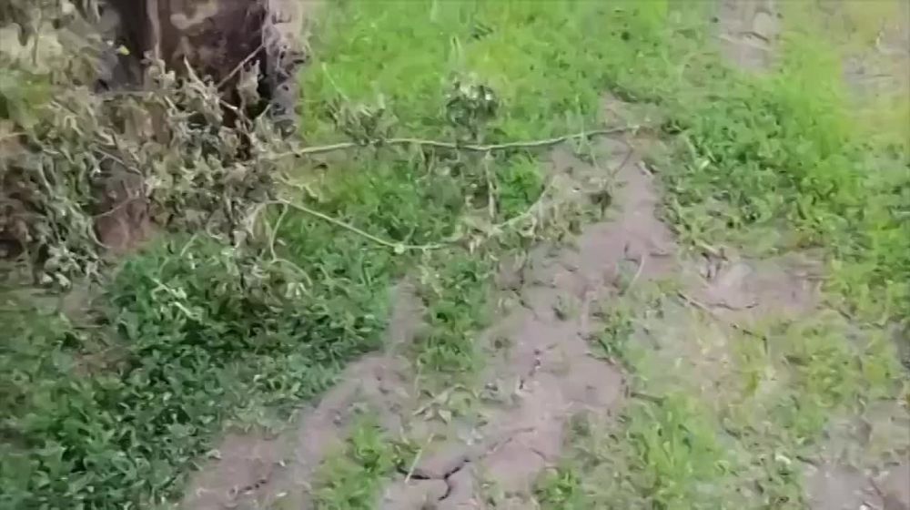 ���������� ������� �������� �� "����������" � ����������� �������