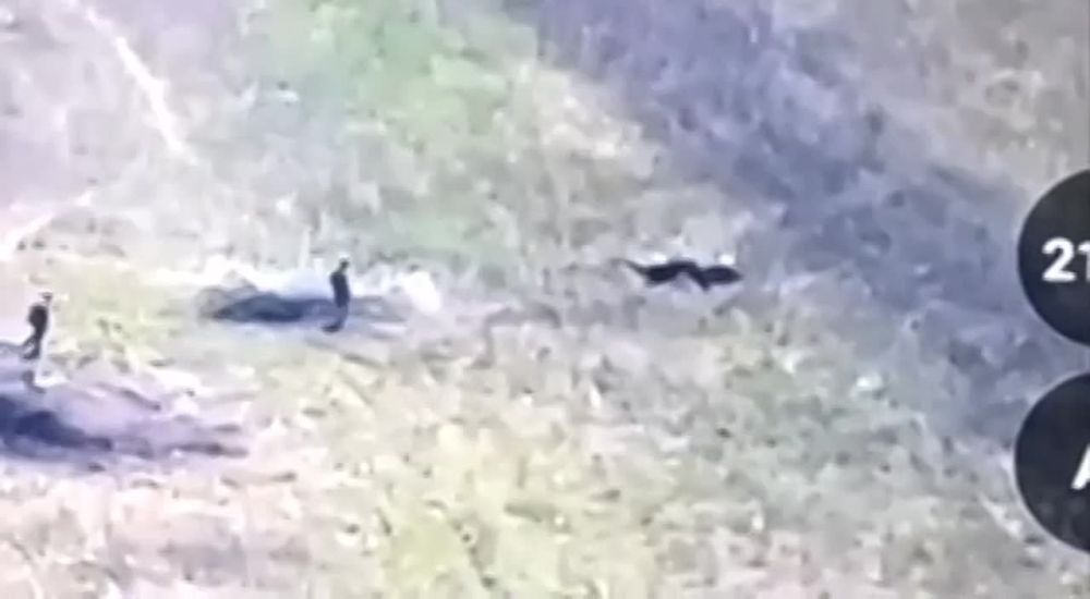 "��������� �������� � �����"