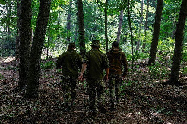 ������ ����������� ������� ������� � ���������� ����������� � ���� ���