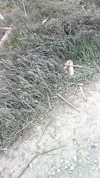 ��������. �������� �� ���������