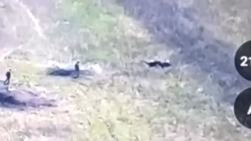 ����������� �������,. ����� ����� � ������� ����������, �������� ��������