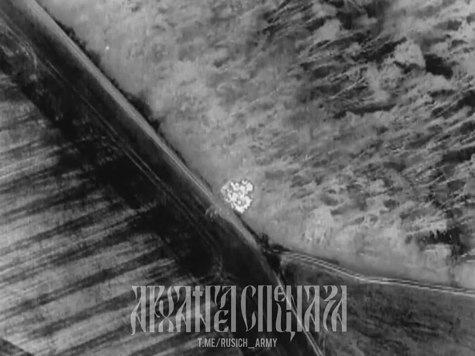 ����������� �����������