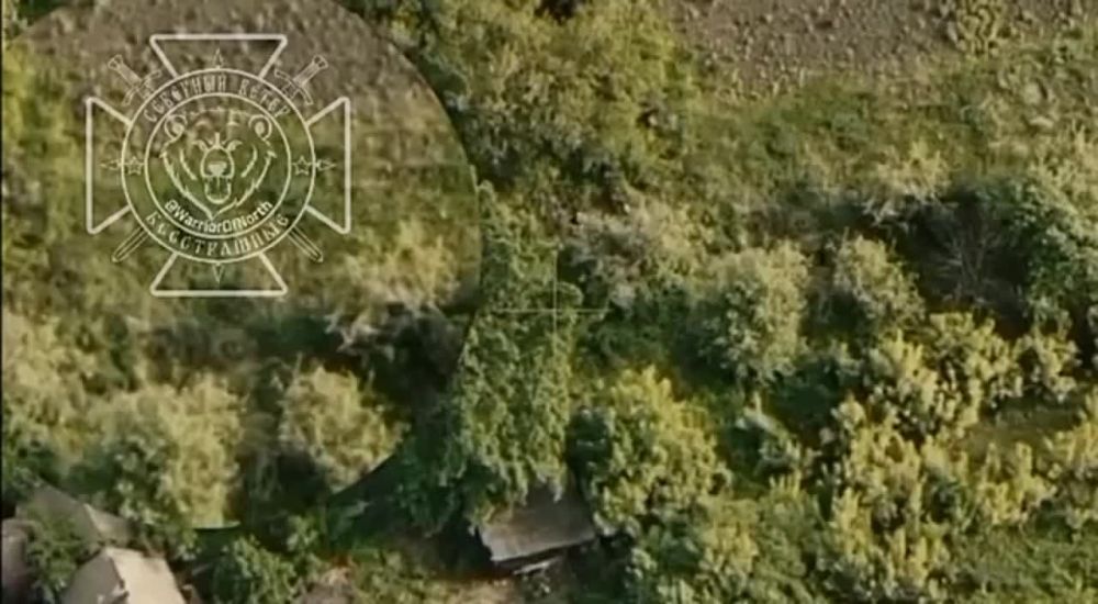 ������� �� ��������� � ������� ���, ��� � ������� ������ ��������� ����������� ��������� ��������� ������������ ���� �� ��������� ����������� �������� ����������� ����� � ��������� ������