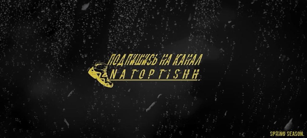 Первые удары по переброшенным к Волчанску польским БТР Rosomak и американским Stryker