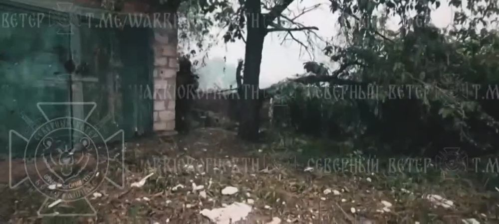 ��������� �������: ����������� "�����" ���������� ������������� ���������� ����������� �������