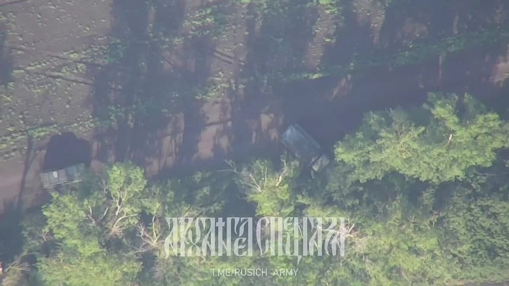 ����������� �����������: