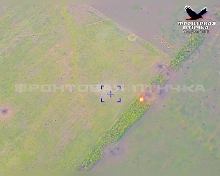 ������������ ������� ������ ���� �� ����������� �����������