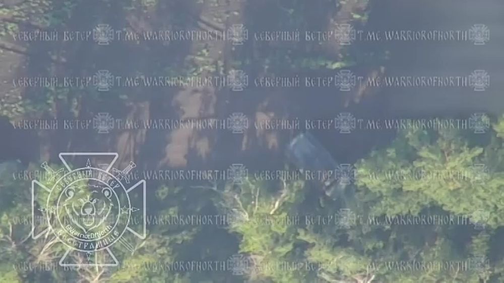 ���������� ������������� ��������� "������" ������������� ������ ������ ���� "����" ��� � �.�